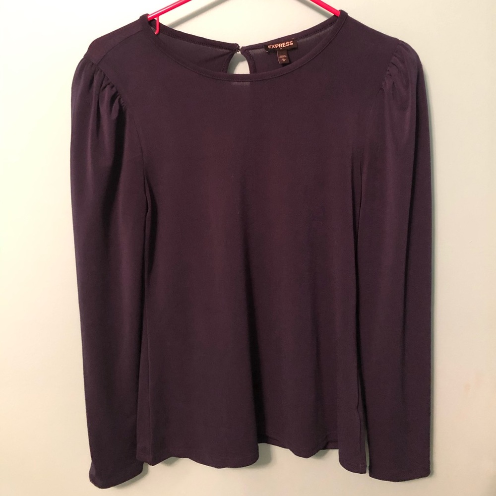 Express Long Sleeved Dress Top